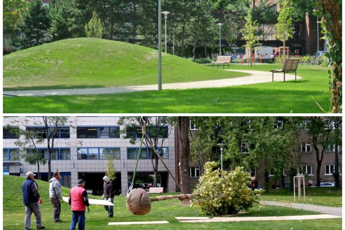 Ilustračný obrázok k článku Park na Belopotockého je pripravený na otvorenie. Na mieste stojí už aj pamätný platan