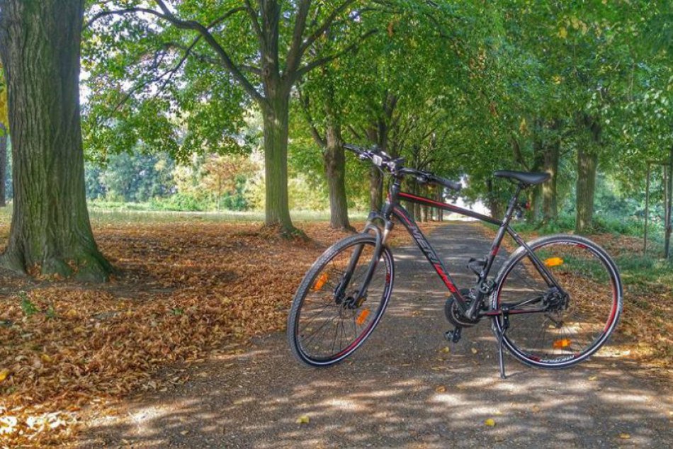 Ilustračný obrázok k článku Redakcia radí: Tipy na jesenné prechádzky Bratislavou