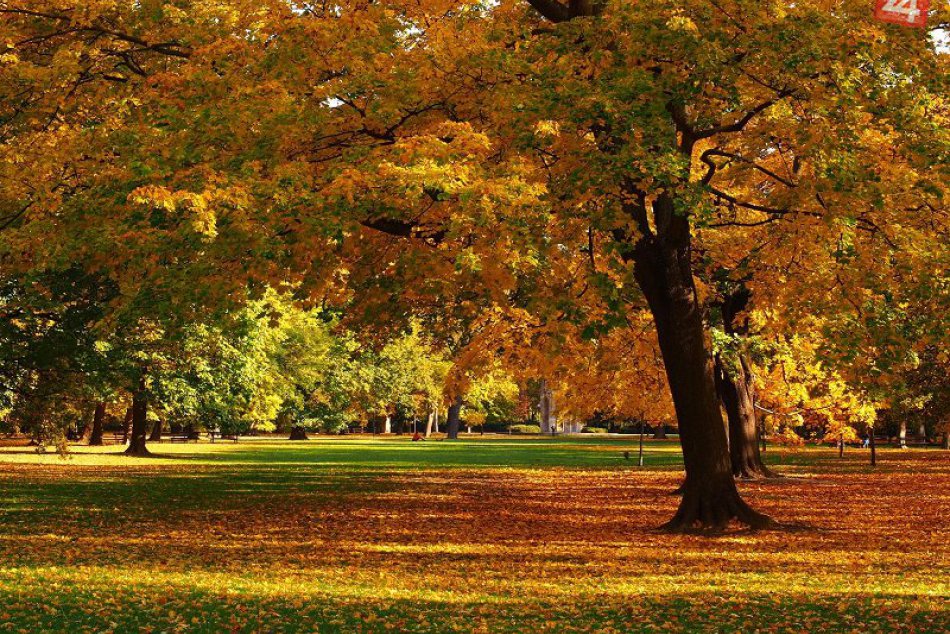 Ilustračný obrázok k článku TIPY na VÍKEND: Vyrazte si v Ružomberku cez voľné dni na zaujímavé akcie