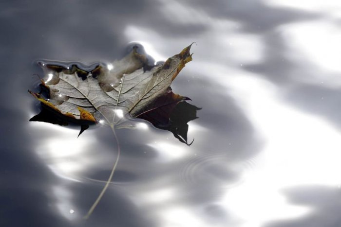 Ilustračný obrázok k článku RANNÁ ŠTVORKA: Dnes je dôvod mädliť si ruky nad počasím i umývadlom