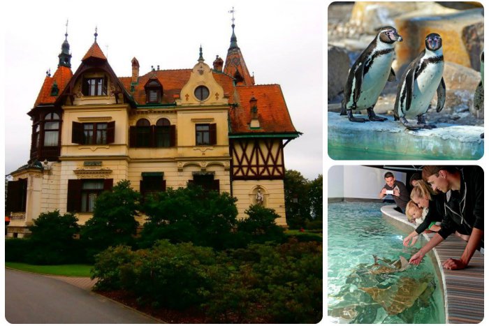 Ilustračný obrázok k článku Tip na výlet: Najkrajšiu českú ZOO nájdete kúsok za hranicami. Môžete tam pohladiť raju