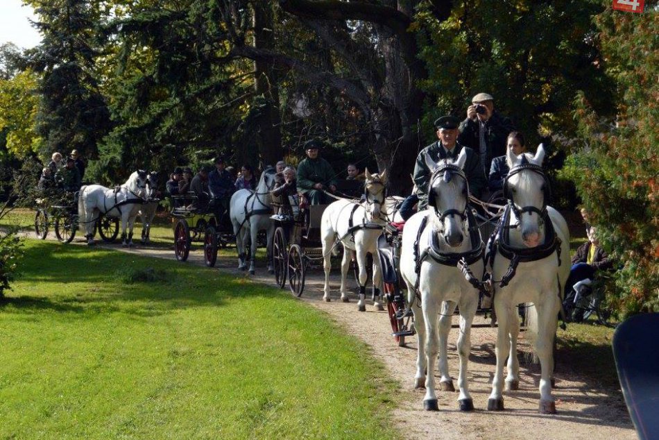 Ilustračný obrázok k článku Národný žrebčín oficiálne ukončí športovú sezónu: Blíži sa Hubertova jazda