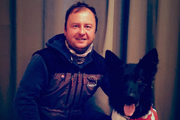 Ilustračný obrázok k článku Najlepší nemecký ovčiak je Slovák: Kris vyhral na nemeckej pôde