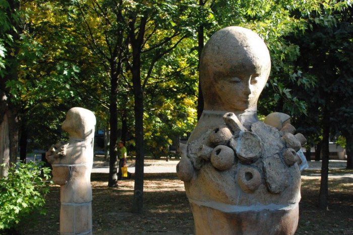 Ilustračný obrázok k článku Družičky opäť rozkvitajú