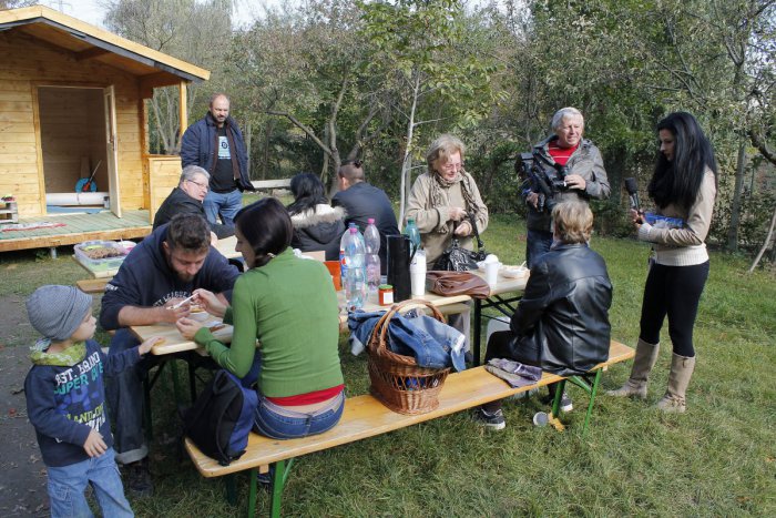 Ilustračný obrázok k článku Rok v komunitnej záhrade