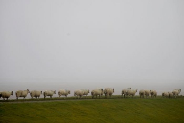 Ilustračný obrázok k článku RANNÁ ŠTVORKA: Sychravá a pochmúrna jeseň sa nám ukáže aj dnes