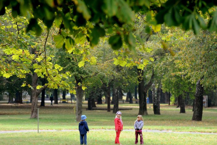 Ilustračný obrázok k článku Park v meste opeknel: K skrášleniu výrazne prispeli i deti