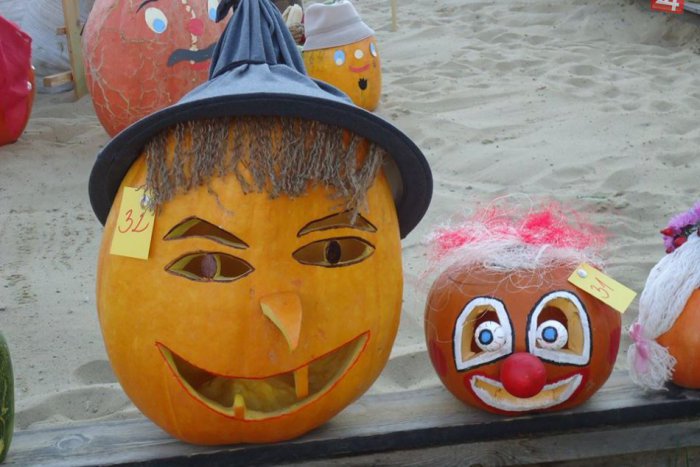 Ilustračný obrázok k článku Chystajte sa na karneval. Medická záhrada sa zmení na raj tekvíc a kostýmov