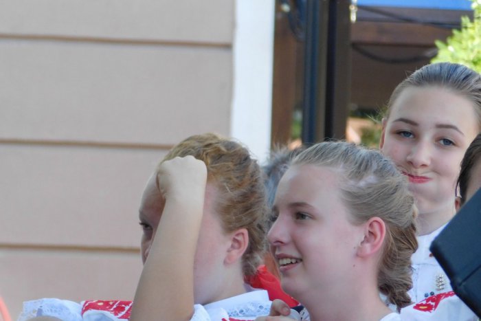 Ilustračný obrázok k článku Porekadlá, ktoré si zamilujete: TOP 10 trefných poznatkov v trnavčine