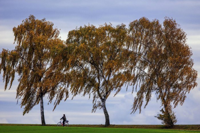 Ilustračný obrázok k článku Víkend klope na dvere: Ako si v Šali užiť voľno?