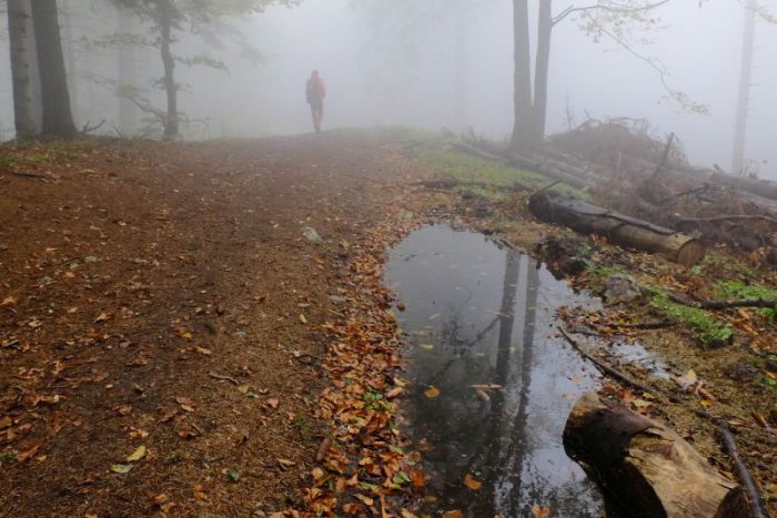 Ilustračný obrázok k článku RANNÁ ŠTVORKA: Zrážky sa pomaly vytratia, pochmúrna obloha ešte ostáva