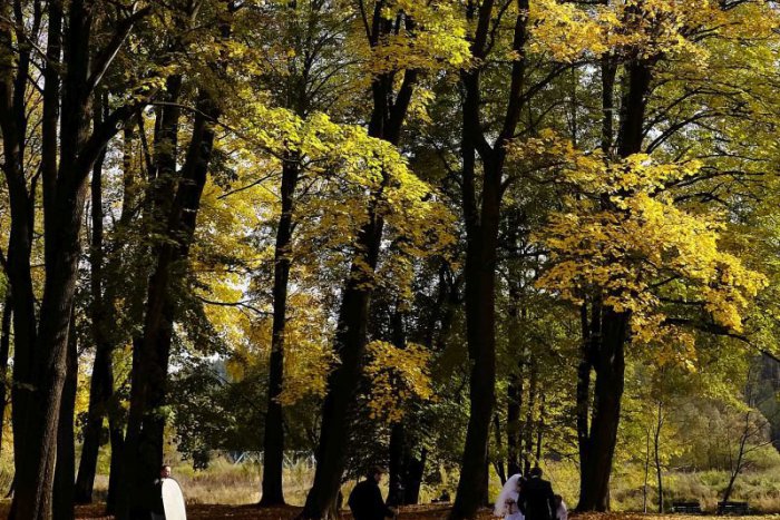 Ilustračný obrázok k článku RANNÁ ŠTVORKA: Meninovým "bielym" ženám bude dopriata slnečná nedeľa bez obláčika