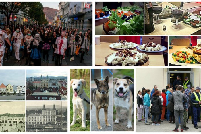 Ilustračný obrázok k článku Prehľad najklikanejších článkov týždňa: Čo Žilinčanov zaujalo najviac?