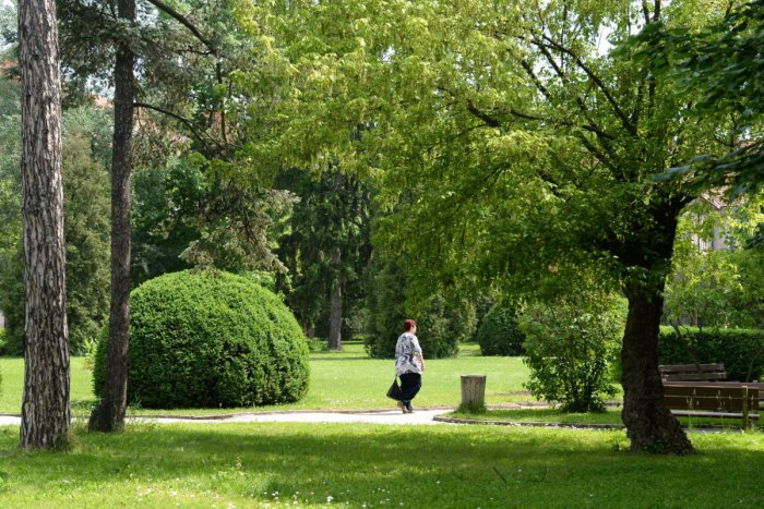 Ilustračný obrázok k článku Veľká pocta vynálezcovi predchodcu vrtuľníka. V rodnej obci pri Zvolene má park