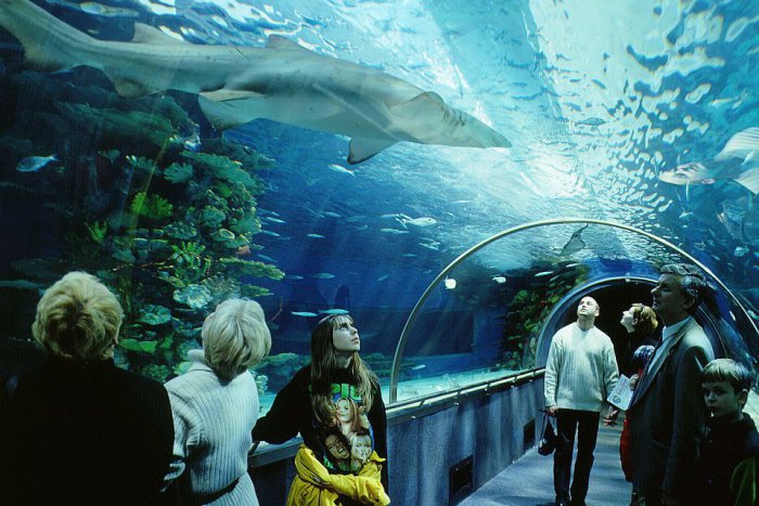 Ilustračný obrázok k článku Tipy na jesenné prázdniny a predĺžený víkend. Vieme, čo podniknúť cez voľné dni