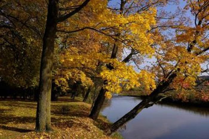 Ilustračný obrázok k článku RANNÁ ŠTVORKA: Užite si denného svetla, záver týždňa bude príjemne jesenný