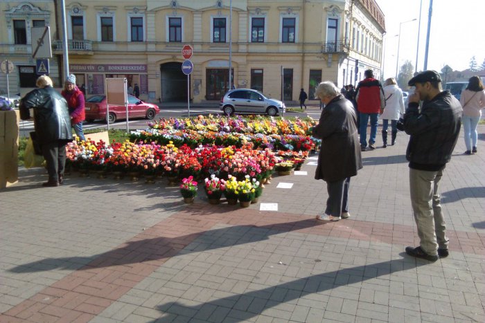 Ilustračný obrázok k článku Dušičky v Lučenci v znamení dopravných obmedzení: Ktorých ulíc sa to týka?