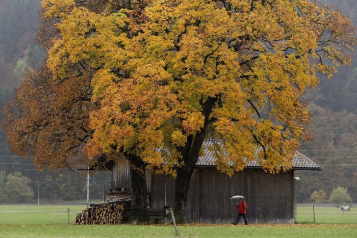Ilustračný obrázok k článku RANNÁ ŠTVORKA: Pod kabát sa zahryzne chlad, na východe budú aj prehánky