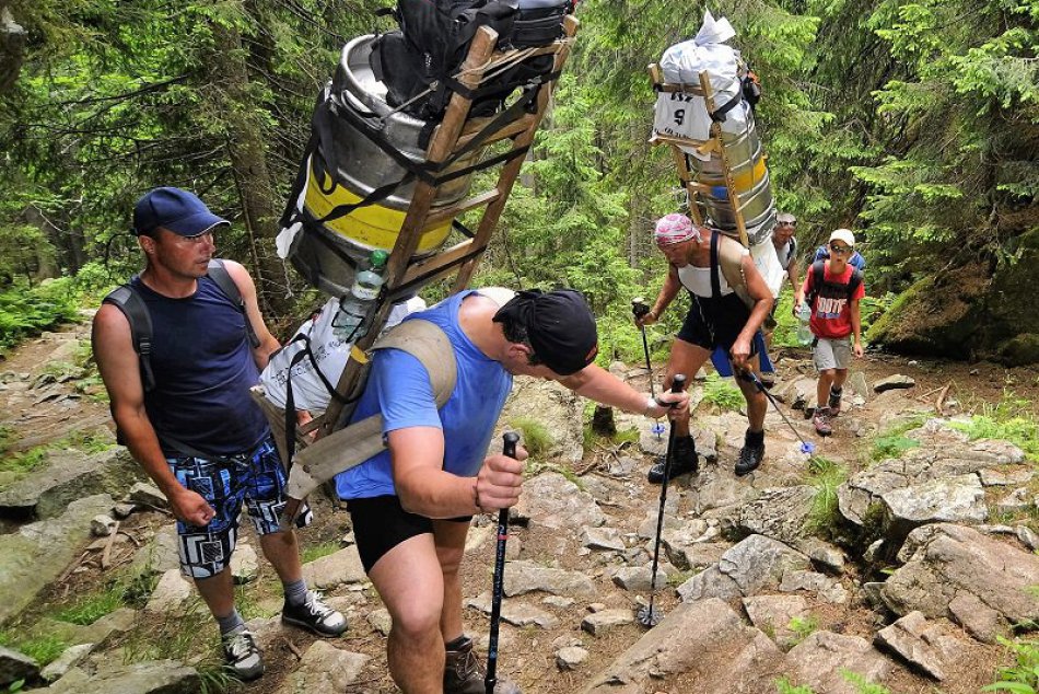 Ilustračný obrázok k článku Horského nosiča v našich končinách nevidno každý deň. Do Fiľakova nezavíta náhodou