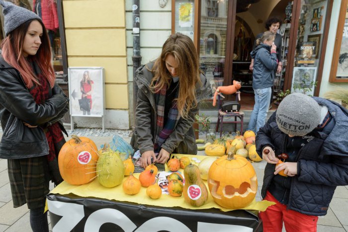 Ilustračný obrázok k článku Víkend klope na dvere: Ako si v Šali užiť voľno?