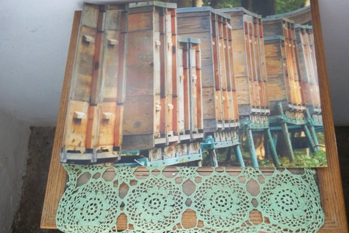 Ilustračný obrázok k článku Klub fotografov Terra Wag pozýva: Príďte sa inšpirovať ich jesenými náladami