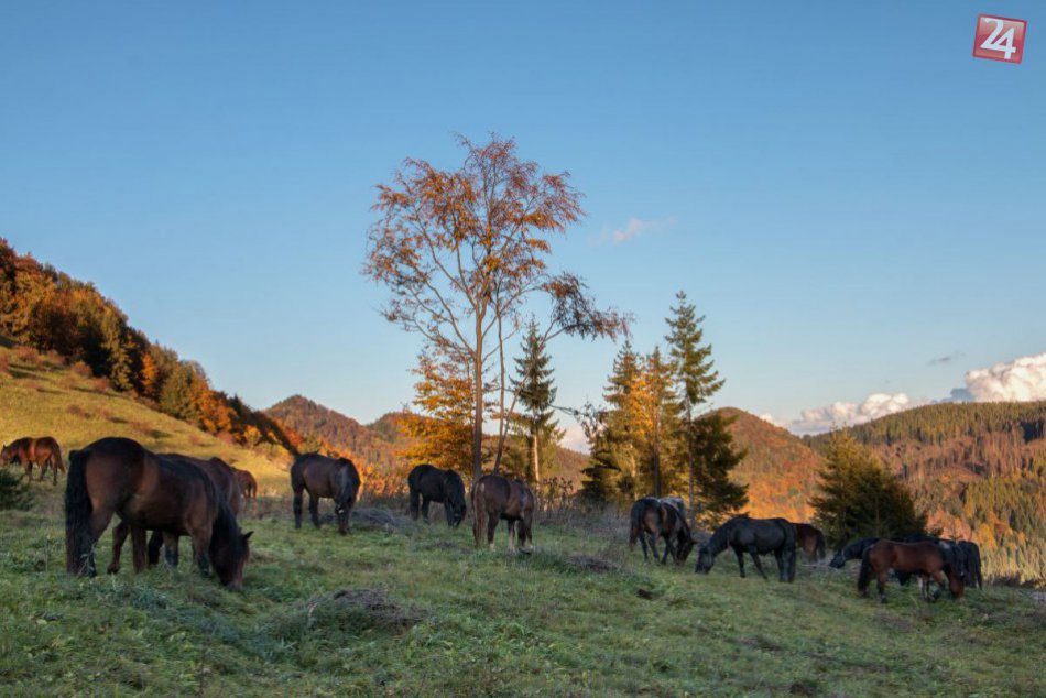Ilustračný obrázok k článku Príroda v okolí Dobšinej? Zábery, ktoré budete chcieť pozerať zas a znovu