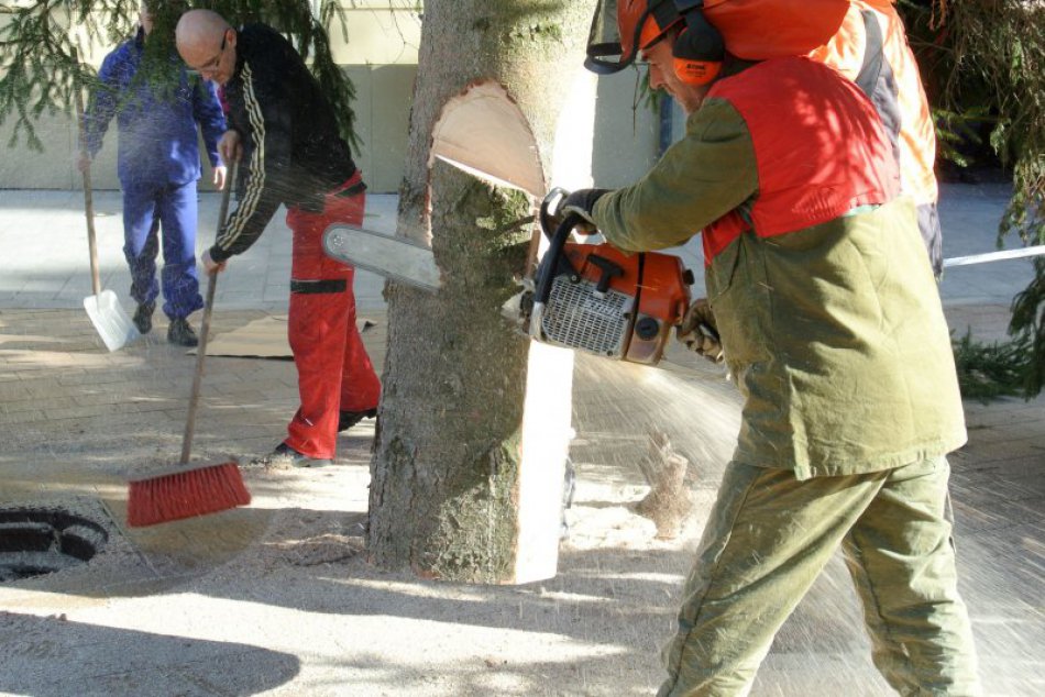 Ilustračný obrázok k článku VIDEO: Na Hlavnom námestí sa týči sedemnásťmetrový vianočný stromček. Toto je ON