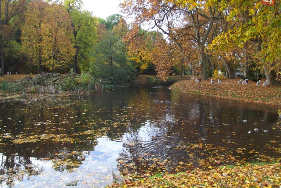 Ilustračný obrázok k článku Urobte si plány na november: Výber naj akcií, ktoré zažijeme v Hlohovci