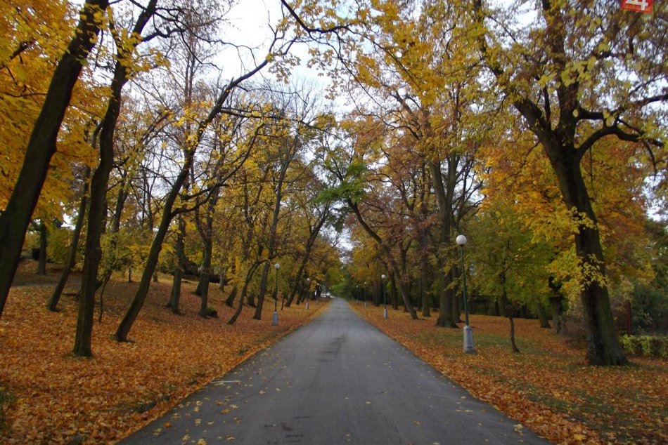 Ilustračný obrázok k článku Poznáme víťaza súťaže NAJ mesto Slovenska: Ako skončil Hlohovec?