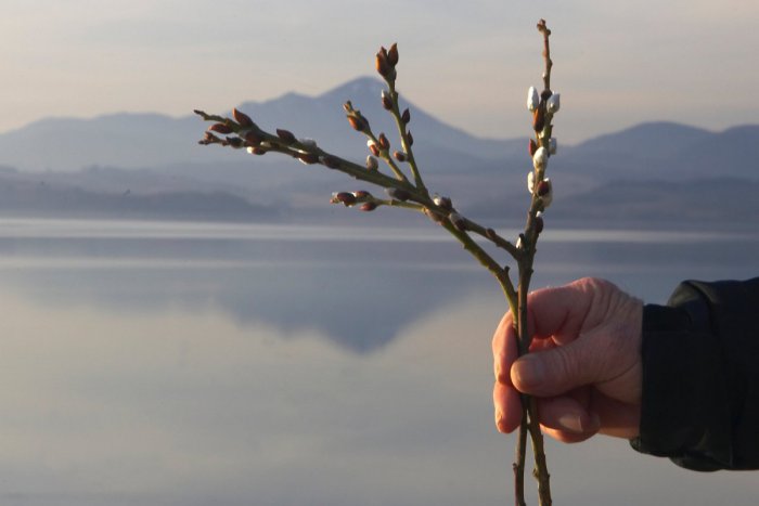 Ilustračný obrázok k článku Aj právo na zdravé životné prostredie treba vymáhať