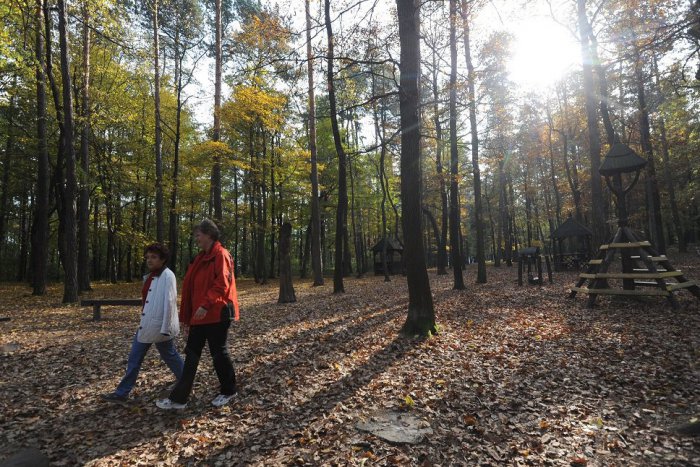 Ilustračný obrázok k článku Víkend klope na dvere: Ako si v Šali užiť voľno?