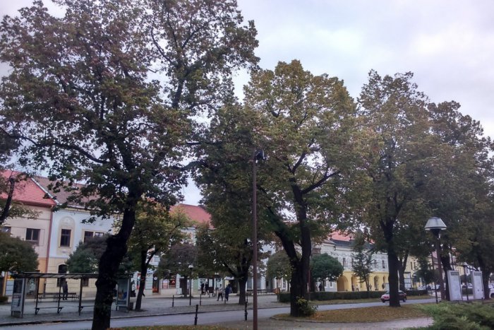 Ilustračný obrázok k článku Najnovšie zistenia z mesta: Toto sú najčastejšie priezviská v Spišskej!