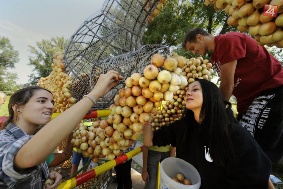Ilustračný obrázok k článku Cibuľové slávnosti vo veľkom štýle: Ponúknu skutočne nevídaný pohľad!