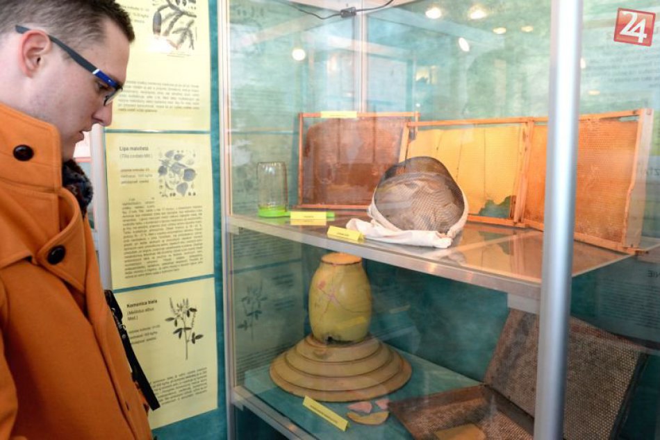 Ilustračný obrázok k článku Pohronské múzeum s bohatou ponukou: Devät výstav a ďalšie akcie