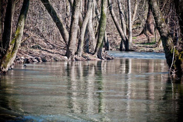 Ilustračný obrázok k článku Hrozný nález v Hrone: Z rieky vytiahli telo muža!