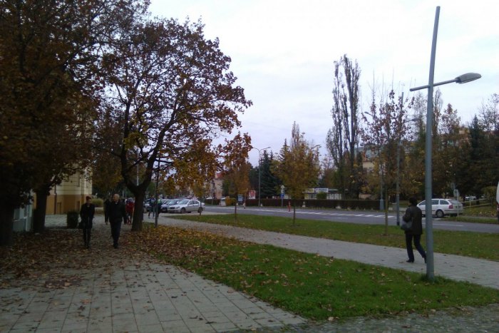 Ilustračný obrázok k článku MALIAR
LUČENCA

do 20.11. 2016, Novohradské múzeum a galéria Lučenec

Frant