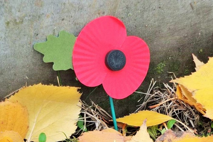 Ilustračný obrázok k článku Deň vojnových veteránov na prešovskom cintoríne: Na hroby položili červené maky