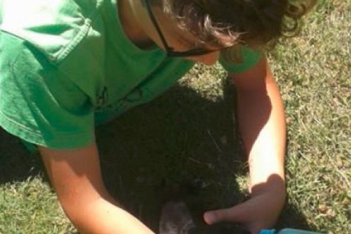 Ilustračný obrázok k článku Z REGIÓNOV: Dojímavý príbeh chlapca z Prešova a šteniatka vás chytí za srdce