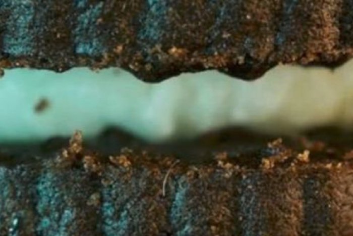 Ilustračný obrázok k článku VIDEO: Nevšedný pohľad na bežné veci: Zblízka sú každodenné predmety na nespoznanie!