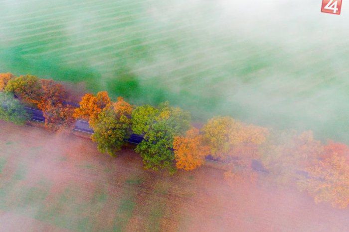 Ilustračný obrázok k článku KURIOZITA DŇA: Maliarka jeseň vyfarbila prírodu do pestrej palety odtieňov