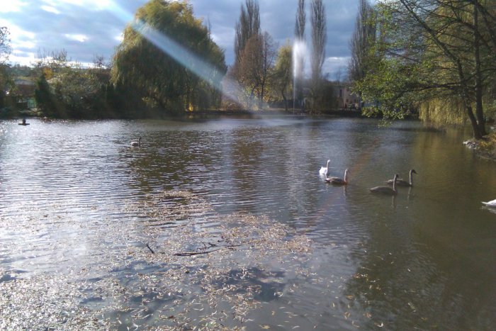 Ilustračný obrázok k článku PROGRAM v Lučenci a okolí na celý týždeň. 7 akcií, z ktorých si vyberie každý