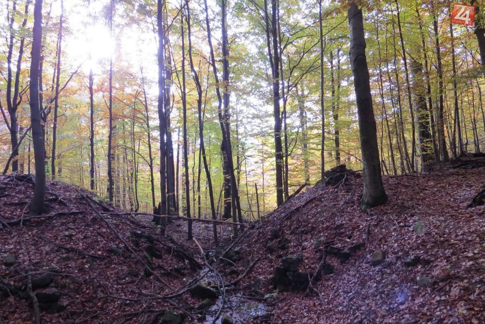 Ilustračný obrázok k článku Developerské snahy na Morskom oku: Toto je reakcia slovenských lesov