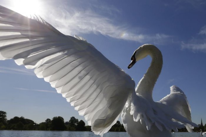 Ilustračný obrázok k článku RANNÁ ŠTVORKA: Emílie poteší príjemný jesenný deň