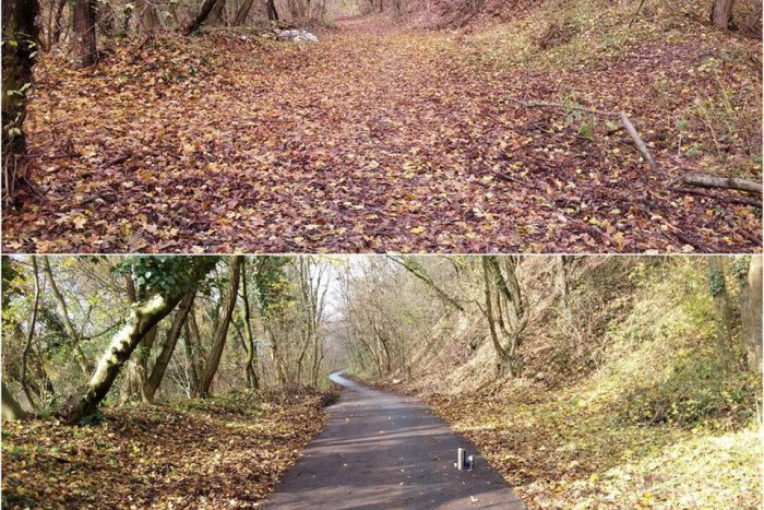 Ilustračný obrázok k článku Dobrovoľníci obnovili zanedbanú cyklotrasu. Tá takmer zmizla pod lístím