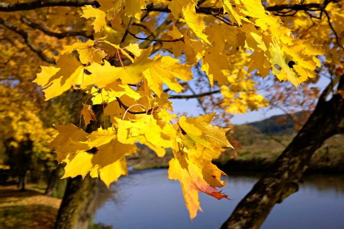 Ilustračný obrázok k článku Krásy Malohontu očami fotografov. Desiatky autorov predstavili unikátne diela