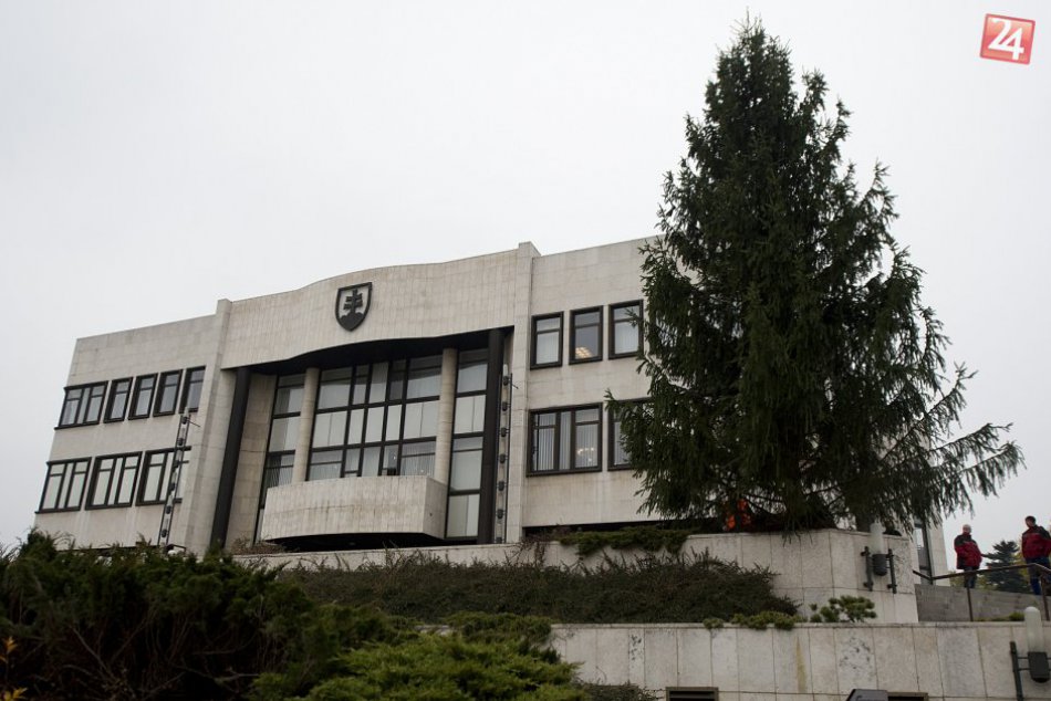 Ilustračný obrázok k článku Už aj pred budovou Národnej rady SR sa týči vianočný stromček