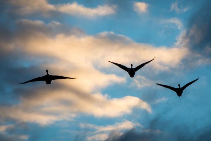 Ilustračný obrázok k článku RANNÁ ŠTVORKA: Zima sa blíži, v najbližších dňoch už pocítime ochladenie