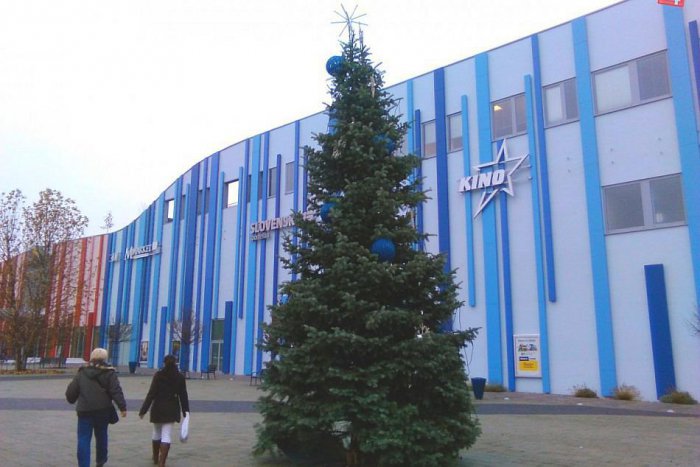 Ilustračný obrázok k článku FOTO: Lučenec sa môže pochváliť raritou. Vianočné stromčeky hneď na 7 miestach!