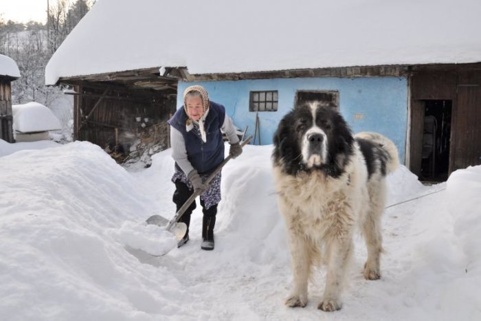 Ilustračný obrázok k článku Výstrahy druhého stupňa! Niekde napadne až pol metra snehu