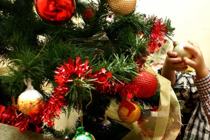 Ilustračný obrázok k článku Krásne gesto lesníkov. Stromčekom potešia malých pacientov v bystrickej nemocnici